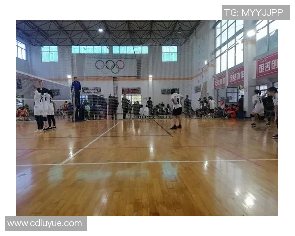 南京排球队包夹战术创新引领新时代竞技潮流与发展趋势分析