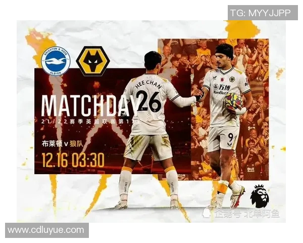 英超网球热点分析成都网球队区域防守战术的独特之处