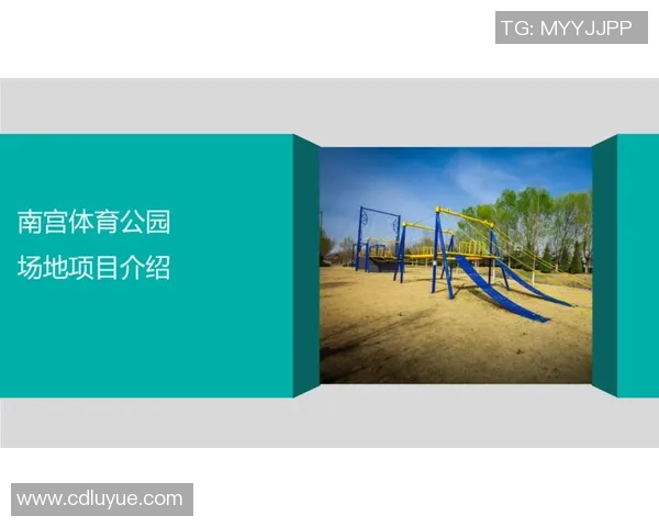 武汉极限运动队灵活性分析与传统体育项目的对比研究