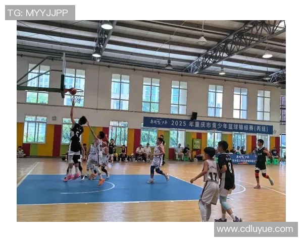 重庆篮球队的拼搏历程与荣耀时刻全景纪实