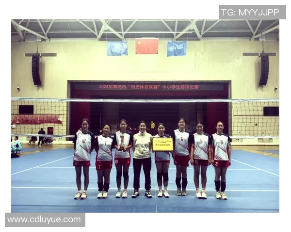 奋战排球场重庆排球队的拼搏历程与荣耀追寻