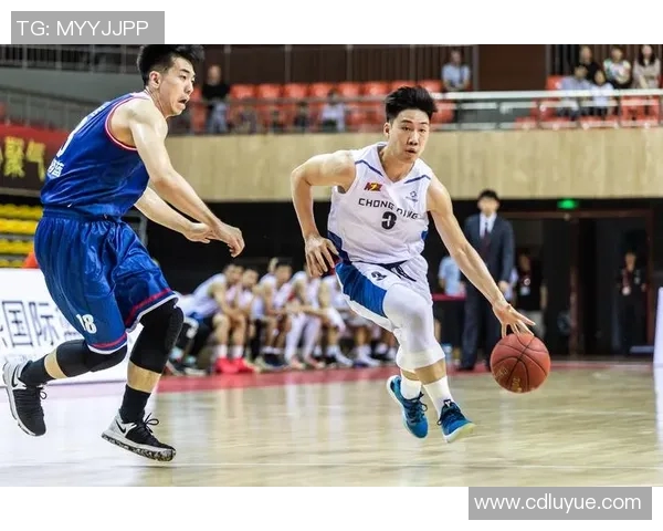 体育实时数据探寻重庆篮球队默契配合的秘密与训练背后的故事 体育实时数据探寻重庆篮球队默契配合的秘密与训练背后的故事