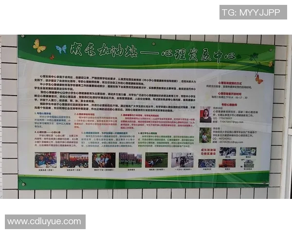 西安篮球队心理素质提升之路：从训练到比赛的全方位解析实时数据